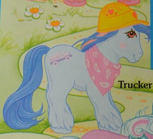 Trucker's Name