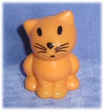 orange kitten